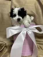 processed/919392c9-c72e-41f7-89a8-51efc23d69fb/listing/b9d77fb0-c8dd-468b-ae64-a9cccab4498d/3384f77c-24fe-4ca8-a64c-433d2fdbb3f1