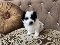 processed/919392c9-c72e-41f7-89a8-51efc23d69fb/listing/b9d77fb0-c8dd-468b-ae64-a9cccab4498d/3a8b7439-dc83-4f0e-b788-f780b5f43917