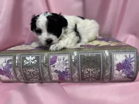 processed/919392c9-c72e-41f7-89a8-51efc23d69fb/listing/b9d77fb0-c8dd-468b-ae64-a9cccab4498d/5b07df16-7e7b-4575-970f-92c024a17a84