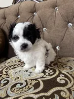 processed/919392c9-c72e-41f7-89a8-51efc23d69fb/listing/b9d77fb0-c8dd-468b-ae64-a9cccab4498d/61a4b57e-c7d4-4be1-b521-a251ab163ce6