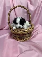 processed/919392c9-c72e-41f7-89a8-51efc23d69fb/listing/b9d77fb0-c8dd-468b-ae64-a9cccab4498d/8b8b6241-51cc-40be-960a-42f360ba4382