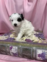 processed/919392c9-c72e-41f7-89a8-51efc23d69fb/listing/bd0df9bd-df49-479f-a9d0-597e3e06508f/10b48497-ddf5-4e23-bc28-98471de5698e