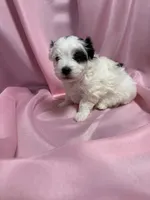 processed/919392c9-c72e-41f7-89a8-51efc23d69fb/listing/bd0df9bd-df49-479f-a9d0-597e3e06508f/2ded6b5f-04fd-42ee-a3ad-ca3c53a5a03d