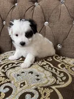 processed/919392c9-c72e-41f7-89a8-51efc23d69fb/listing/bd0df9bd-df49-479f-a9d0-597e3e06508f/326c260b-50c7-4b13-b72e-0ac0abbb67a5