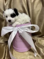 processed/919392c9-c72e-41f7-89a8-51efc23d69fb/listing/bd0df9bd-df49-479f-a9d0-597e3e06508f/3951c4e3-2871-4326-9797-45e36e157589