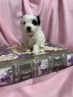 processed/919392c9-c72e-41f7-89a8-51efc23d69fb/listing/bd0df9bd-df49-479f-a9d0-597e3e06508f/afdc9d8d-93dd-4164-99bd-651dae3ca40e