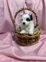 processed/919392c9-c72e-41f7-89a8-51efc23d69fb/listing/bd0df9bd-df49-479f-a9d0-597e3e06508f/cef28e2b-d7c4-419e-aa46-1aa41a267382