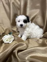 processed/919392c9-c72e-41f7-89a8-51efc23d69fb/listing/bd0df9bd-df49-479f-a9d0-597e3e06508f/f0ea9c33-58eb-4f1a-9b0f-7e39e677cde5