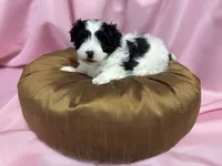 processed/919392c9-c72e-41f7-89a8-51efc23d69fb/listing/f0505d33-f826-440f-87e9-5afb7a7e5ab1/05ebb35e-03f1-4373-b7ed-aade6765833a