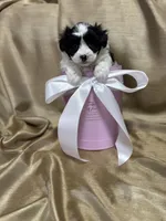 processed/919392c9-c72e-41f7-89a8-51efc23d69fb/listing/f0505d33-f826-440f-87e9-5afb7a7e5ab1/0d1ac0c2-5d26-4815-a636-61ee9c8c4d4b