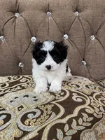 processed/919392c9-c72e-41f7-89a8-51efc23d69fb/listing/f0505d33-f826-440f-87e9-5afb7a7e5ab1/38c105ea-470a-4192-a539-fe297e204894