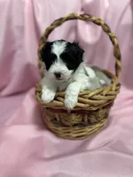 processed/919392c9-c72e-41f7-89a8-51efc23d69fb/listing/f0505d33-f826-440f-87e9-5afb7a7e5ab1/46372b5e-1d47-42a0-aeac-0b5c403463c2