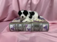 processed/919392c9-c72e-41f7-89a8-51efc23d69fb/listing/f0505d33-f826-440f-87e9-5afb7a7e5ab1/66fb1cf9-ad11-4862-abfa-5148947f4be5