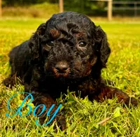 processed/919c9c09-b19f-4aaa-b242-6f9ccf182e32/listing/9451e4d7-6e42-47eb-8e55-255c395c006f/09ce3427-a477-488c-8b6e-b675b0a23f0f