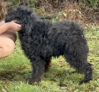 processed/919c9c09-b19f-4aaa-b242-6f9ccf182e32/listing/9451e4d7-6e42-47eb-8e55-255c395c006f/14f9795c-c4e0-4e8c-9082-b2c83f110ced