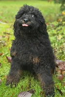 processed/919c9c09-b19f-4aaa-b242-6f9ccf182e32/listing/9451e4d7-6e42-47eb-8e55-255c395c006f/fc9a931e-9d30-4031-a7e9-720e08196b66