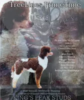 processed/919c9c09-b19f-4aaa-b242-6f9ccf182e32/listing/b0cf4279-c1cf-4ee9-bd73-9281c93c7a0f/1ca6fab1-462f-4005-96ab-1d0804e24c9b