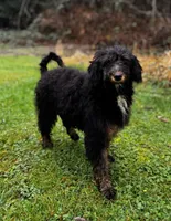 processed/919c9c09-b19f-4aaa-b242-6f9ccf182e32/listing/b0cf4279-c1cf-4ee9-bd73-9281c93c7a0f/8febd9a9-e066-4a84-8af0-26662275b8f4