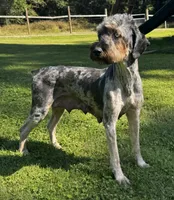 processed/919c9c09-b19f-4aaa-b242-6f9ccf182e32/listing/b0cf4279-c1cf-4ee9-bd73-9281c93c7a0f/f6194a23-a500-428f-9012-3f94eb6d4528