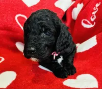 processed/91aa0597-73b0-43a0-bad2-486ceb55847b/listing/71ee3a8b-4a17-44bf-ba76-b2da3627facd/73e258ea-ce89-4a52-8625-171571eaacc5