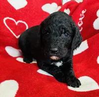 processed/91aa0597-73b0-43a0-bad2-486ceb55847b/listing/71ee3a8b-4a17-44bf-ba76-b2da3627facd/7831a672-f2e7-4c51-93e5-b59a7a4fe414