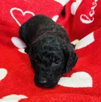 processed/91aa0597-73b0-43a0-bad2-486ceb55847b/listing/71ee3a8b-4a17-44bf-ba76-b2da3627facd/7a871c97-89b5-48ae-81d3-74bcc147677e