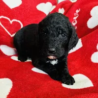 processed/91aa0597-73b0-43a0-bad2-486ceb55847b/listing/71ee3a8b-4a17-44bf-ba76-b2da3627facd/7f09bcaf-8bac-43da-b355-c0fc80c15348