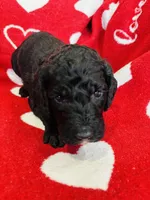 processed/91aa0597-73b0-43a0-bad2-486ceb55847b/listing/71ee3a8b-4a17-44bf-ba76-b2da3627facd/f872c0db-52f3-4be3-ac42-2ee01347a814