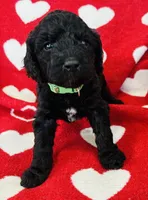 processed/91aa0597-73b0-43a0-bad2-486ceb55847b/listing/e337cf14-279e-4df3-854b-b48eb7aa8232/44e27ec6-80c5-43d2-b52d-7827b4cfdde3