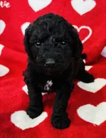 processed/91aa0597-73b0-43a0-bad2-486ceb55847b/listing/e337cf14-279e-4df3-854b-b48eb7aa8232/75684243-35a0-435a-9cb3-9e7ec4895e93