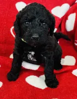 processed/91aa0597-73b0-43a0-bad2-486ceb55847b/listing/e337cf14-279e-4df3-854b-b48eb7aa8232/c0eef01f-2c69-4de1-992f-ecf72617f6a7