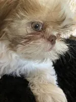 processed/91c606e8-db84-4589-b29a-ab0a66f1d17e/facility/09324918-0137-47eb-9e86-4c412fec4c53