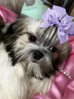 processed/91c606e8-db84-4589-b29a-ab0a66f1d17e/facility/4dd39464-e9b5-49a5-a60e-a0ae063127bf