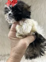 processed/91c606e8-db84-4589-b29a-ab0a66f1d17e/facility/6d6a2422-94af-474e-9399-1543c63792f3