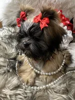 processed/91c606e8-db84-4589-b29a-ab0a66f1d17e/facility/97a60929-edb4-41e9-a81c-fd5a692b1bae