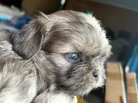 processed/91c606e8-db84-4589-b29a-ab0a66f1d17e/facility/dfefd4fc-be53-4025-a9c5-b7e22d3d7f1f