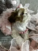 processed/91c606e8-db84-4589-b29a-ab0a66f1d17e/facility/e1eac076-3908-4faa-ae8c-6cfef0ff6284