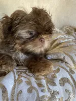 processed/91c606e8-db84-4589-b29a-ab0a66f1d17e/facility/ebc8dc70-32bc-4c6e-ac69-70631e443342