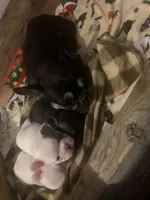 processed/91cba0c7-939d-4493-864c-77740040bbfa/facility/19b7cb16-b456-4476-9253-8c88620e7c6f