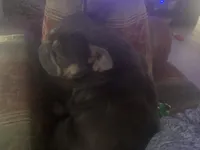 processed/91cba0c7-939d-4493-864c-77740040bbfa/facility/3c000b84-e3fe-472c-b311-d263b851b810