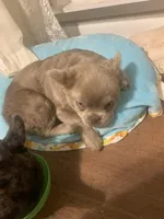 processed/91cba0c7-939d-4493-864c-77740040bbfa/facility/4252223f-ee1c-4256-91b5-81394f5ee6e1