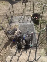 processed/91cba0c7-939d-4493-864c-77740040bbfa/facility/96b2973e-a197-46da-8896-f785bf14ff1b