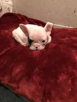 processed/91cba0c7-939d-4493-864c-77740040bbfa/facility/b4e50ef6-0250-405c-a818-4a4227566896