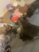 processed/91cba0c7-939d-4493-864c-77740040bbfa/facility/b5d4805f-4e6f-4361-9928-f26c8a0781be