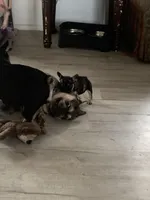 processed/91cba0c7-939d-4493-864c-77740040bbfa/facility/ef5669d2-a1aa-425e-92d2-d9a9730048ce