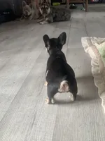 processed/91cba0c7-939d-4493-864c-77740040bbfa/facility/f3c0c926-385a-4559-a510-22dab427436c