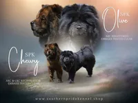 processed/91cdfc2b-522b-44bb-a79d-ace5630407b3/listing/1c1a5fe1-4d55-4449-9106-5458aa17494a/4f48257e-0b5a-43a2-9858-7e142d0c31ec