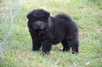 processed/91cdfc2b-522b-44bb-a79d-ace5630407b3/listing/1c1a5fe1-4d55-4449-9106-5458aa17494a/67306080-ba16-4143-8942-de54807f9f68