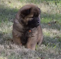 processed/91cdfc2b-522b-44bb-a79d-ace5630407b3/listing/7c7430b8-1466-4101-9a7e-507eee40475c/1455abed-b444-45c1-9089-95a6173a4897