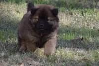 processed/91cdfc2b-522b-44bb-a79d-ace5630407b3/listing/7c7430b8-1466-4101-9a7e-507eee40475c/1da8847a-cd63-4fb8-aa87-49bc71c2433e